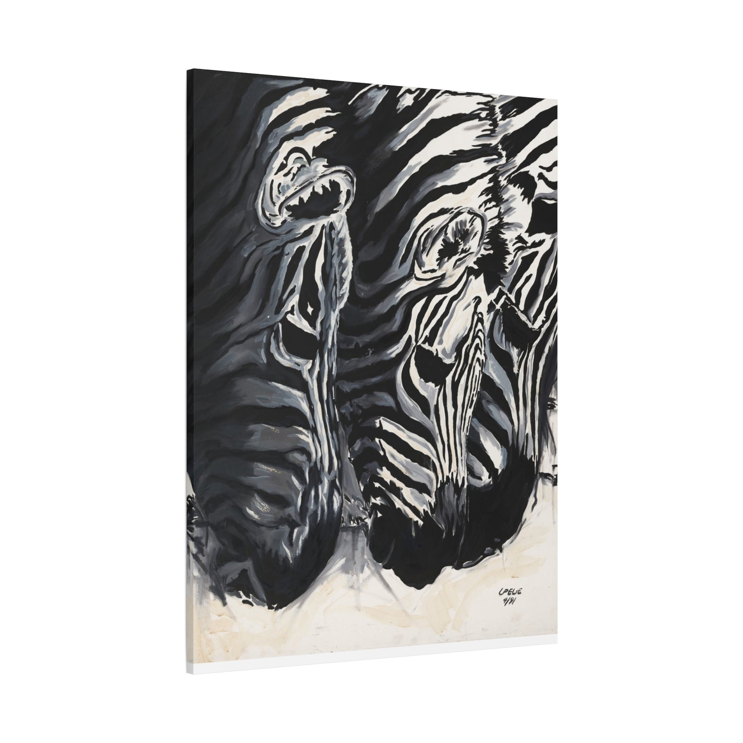 Baby Zebras - Matte Canvas Print