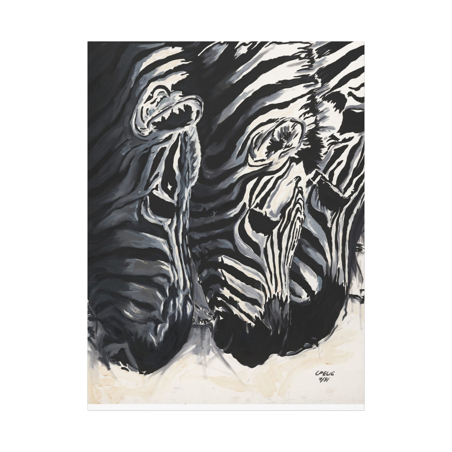 Baby Zebras - Matte Canvas Print
