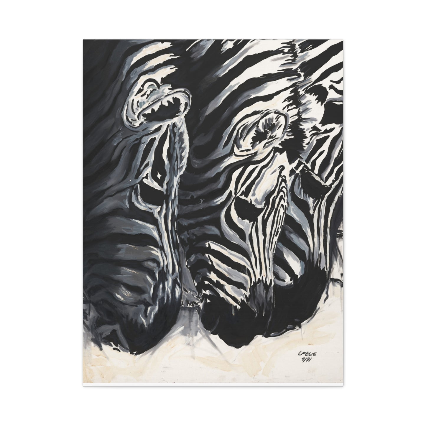 Baby Zebras - Matte Canvas Print